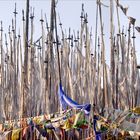 Prayer Flags