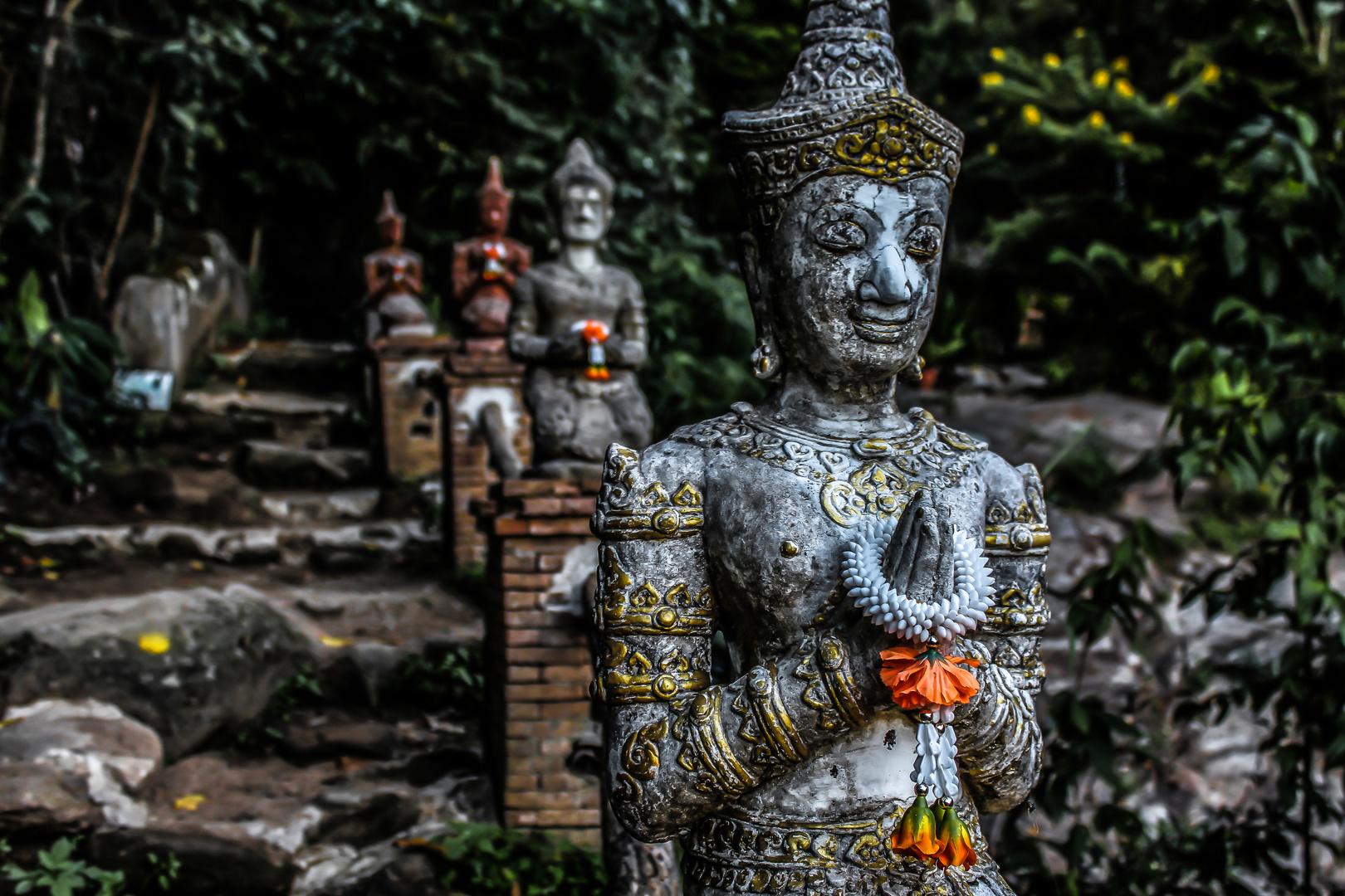 Prayer in the jungle