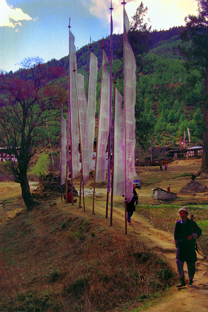 Prayerflags in Drukgyel western Bhutan