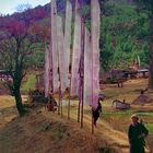 Prayerflags in Drukgyel western Bhutan