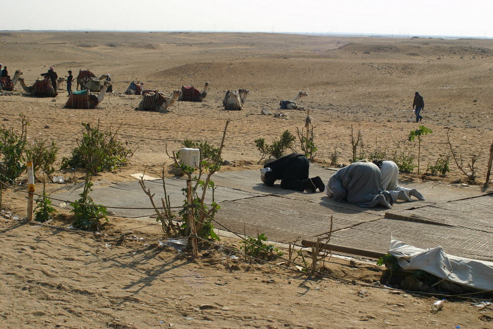 prayers in the desert