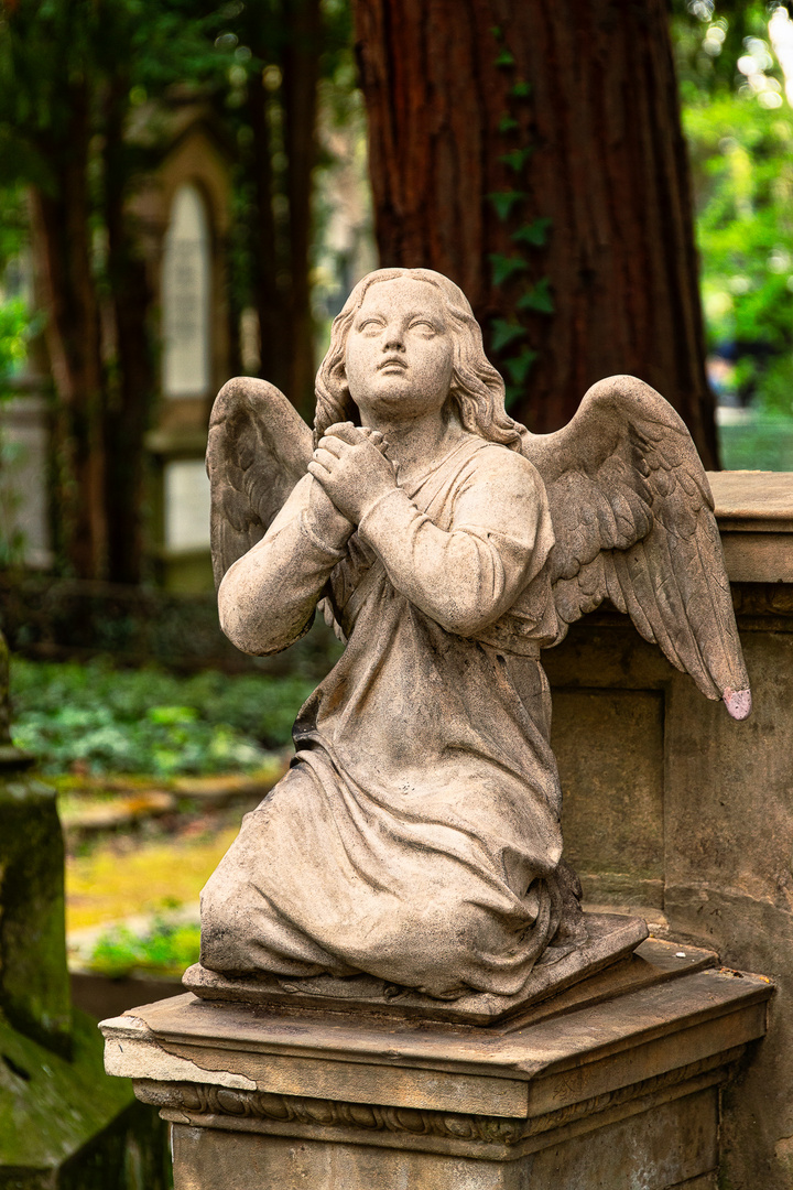 Praying Angel by Tony