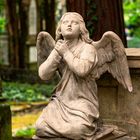 Praying Angel by Tony