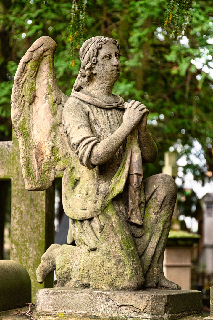 Praying Angel II by Tony