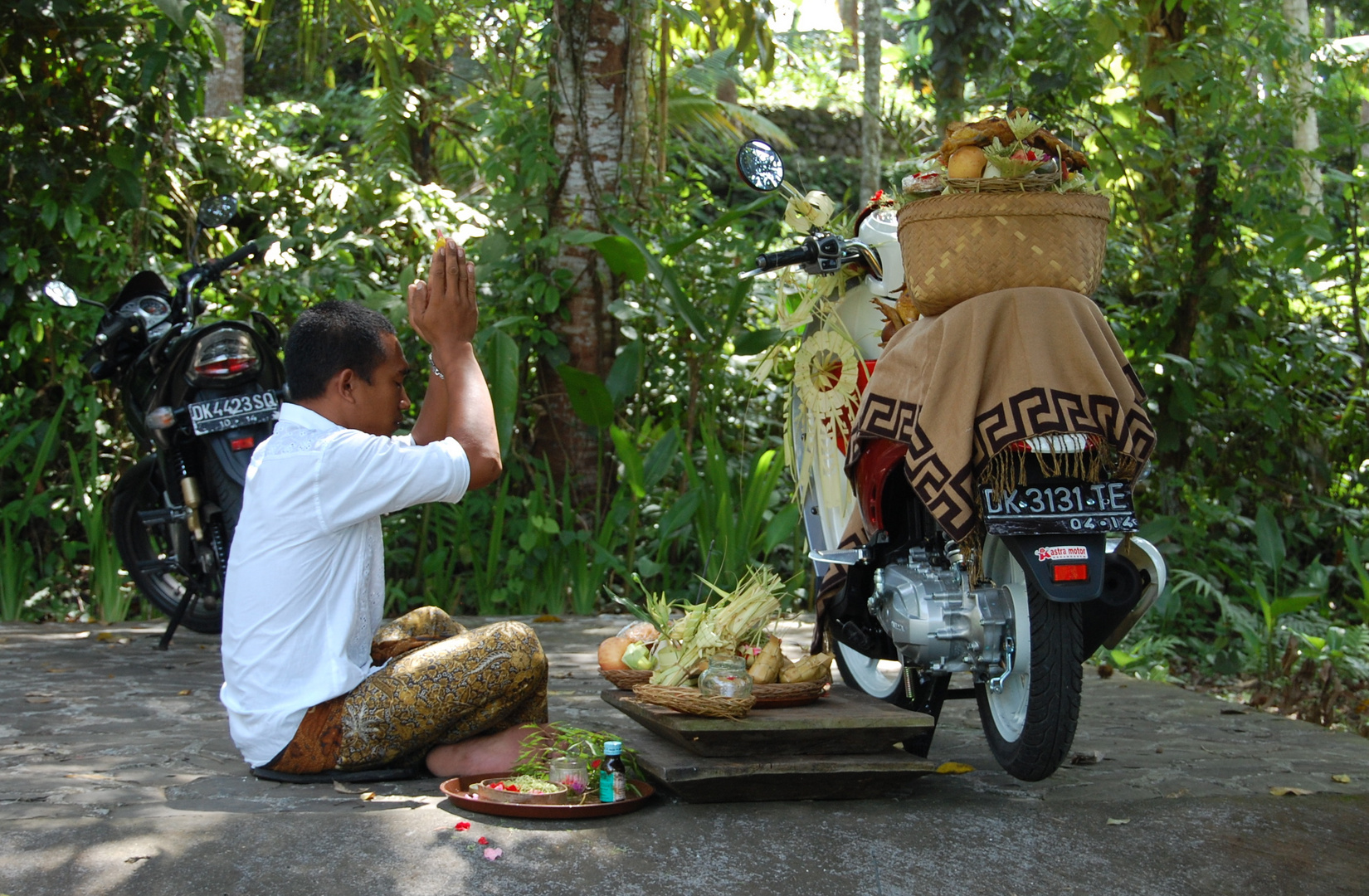 Praying for the well being of our Scoopy