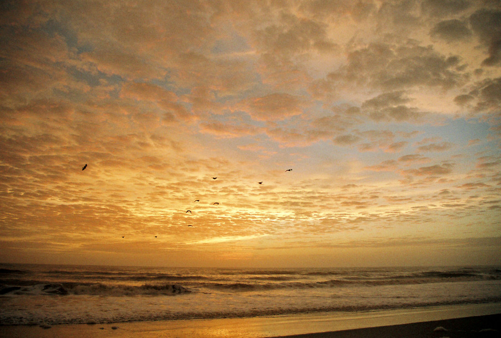 Pre-dawn at the beach