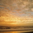 Pre-dawn at the beach