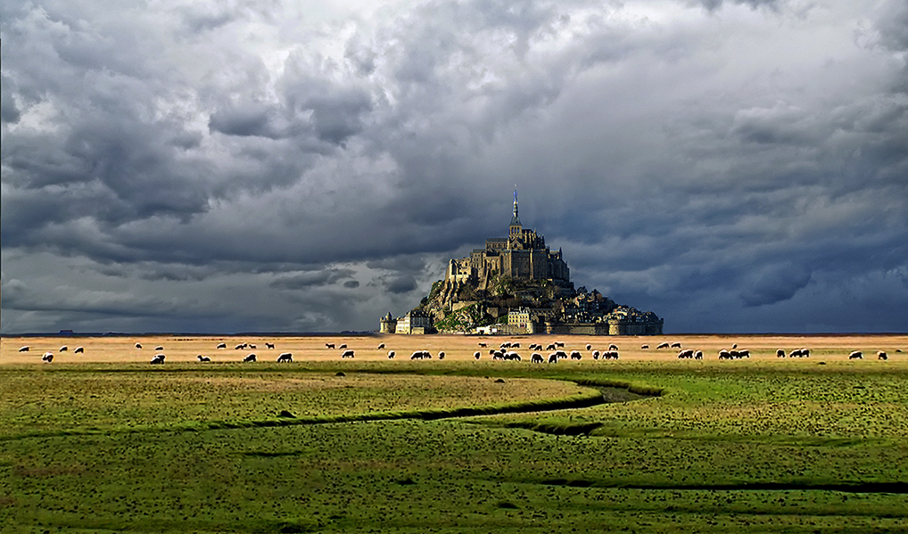 PréSalé au Mont Saint Michel photo et image nature, paysages Images
