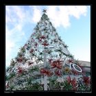 Pre-Xmas at Darling Harbour I, Sydney / AU