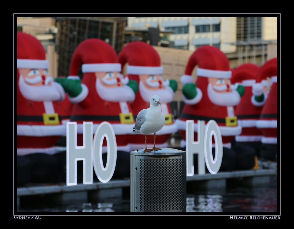 Pre-Xmas at Darling Harbour III, Sydney / AU