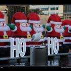 Pre-Xmas at Darling Harbour III, Sydney / AU