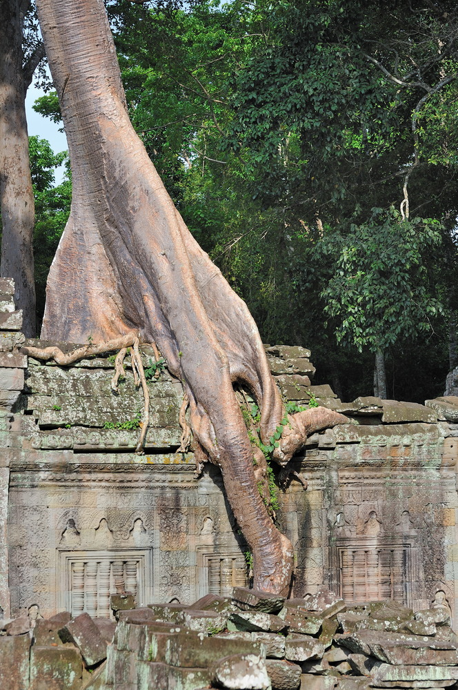 Preah Khan 04