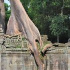 Preah Khan 04