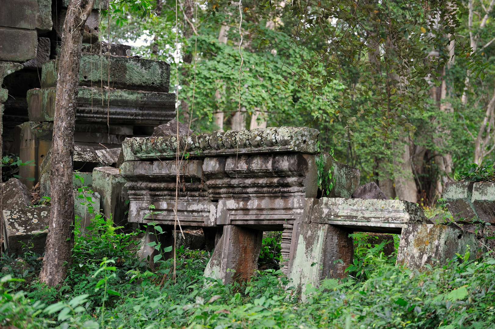 Preah Khan 05