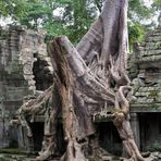 Preah Khan 06