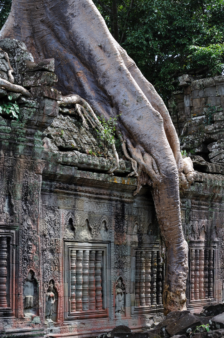 Preah Khan 12