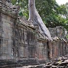 Preah Khan 21