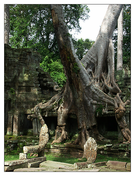 Preah Khan - Siem Reap, Kambodscha