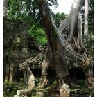 Preah Khan - Siem Reap, Kambodscha