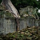 Preah Khan Tempel I