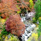 Precioso Otoño Aragon