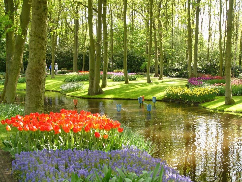 Precioso paisaje en un parque de Holanda