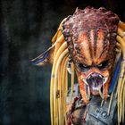 Predator 1