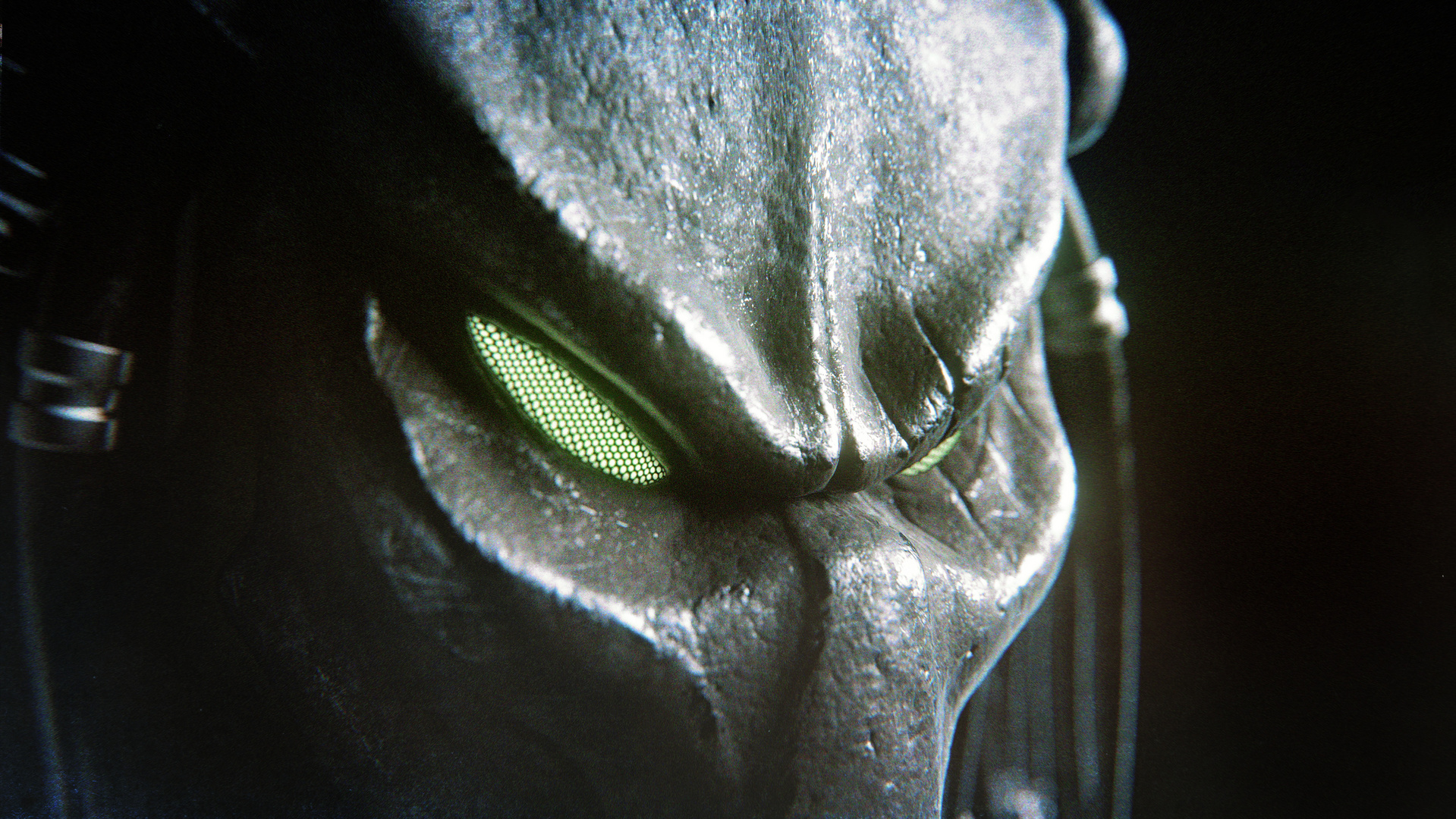 Predator Close Up