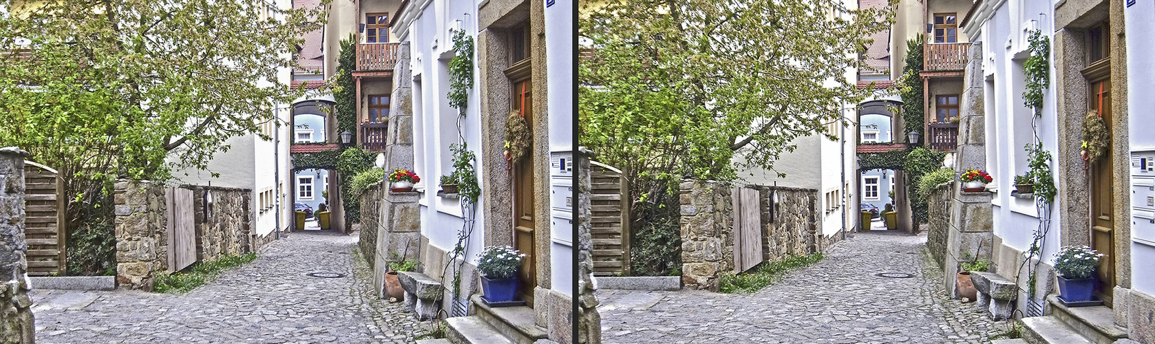 Predigergasse, Bautzen (3D)