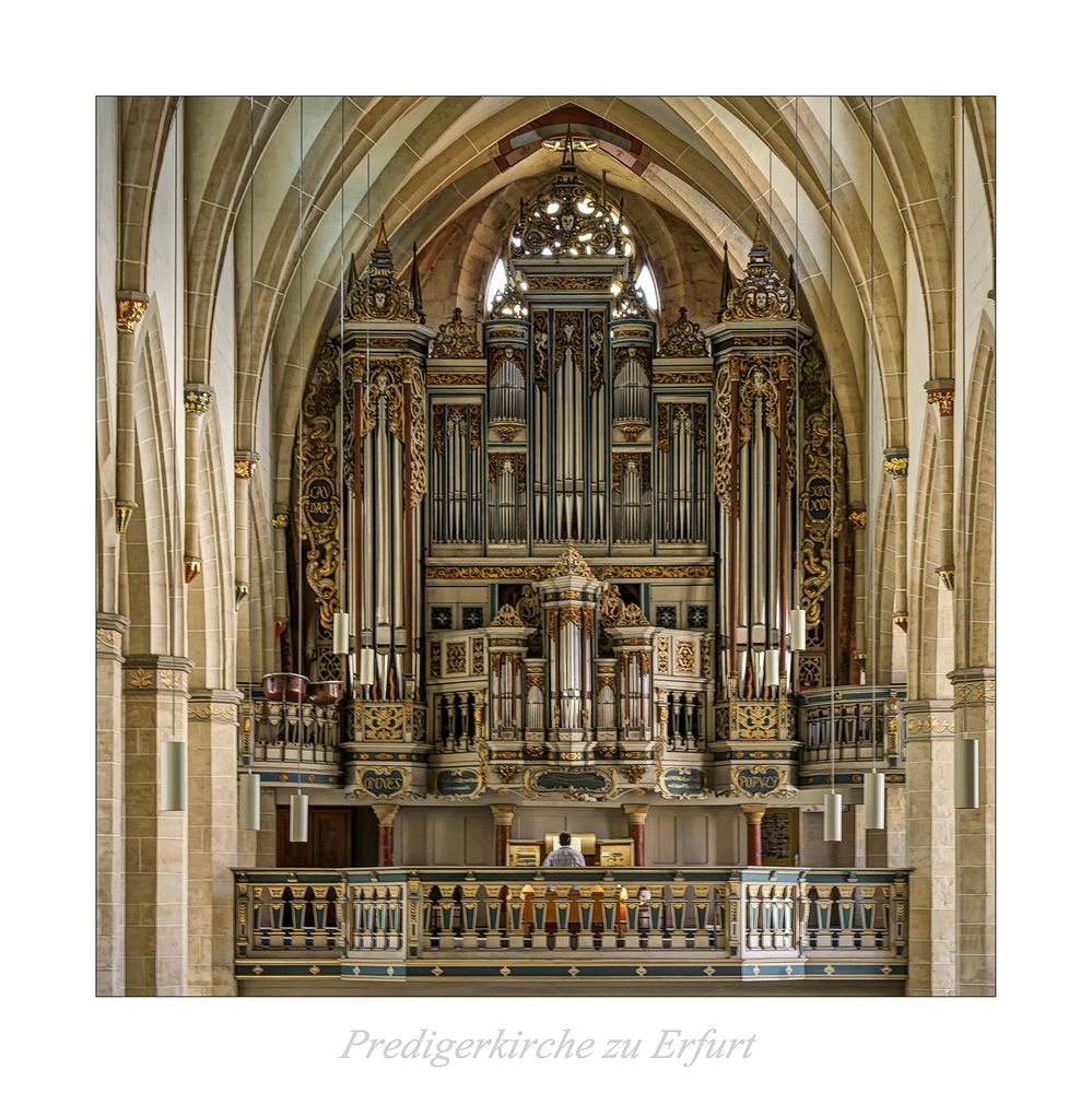 Predigerkirche zu Erfurt " Blick zur Schuke-Orgel..."