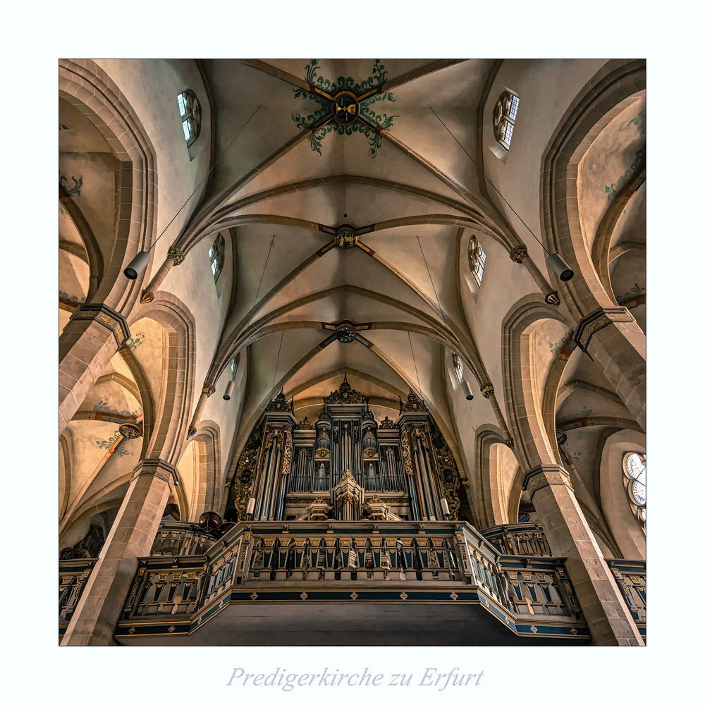 Predigerkirche zu Erfurt " Blick zur Schuke-Orgel, aus meiner Sicht..."