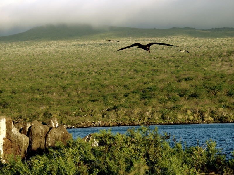 Prehistoric Landscape