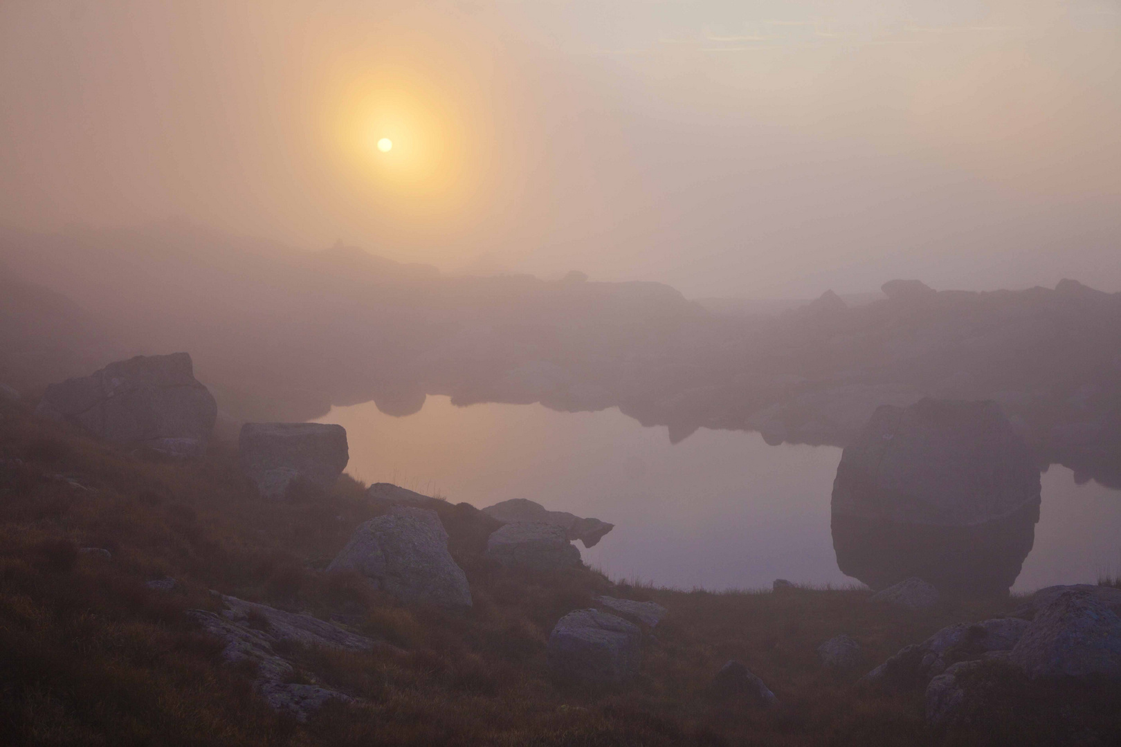 Preikestolen Dawn