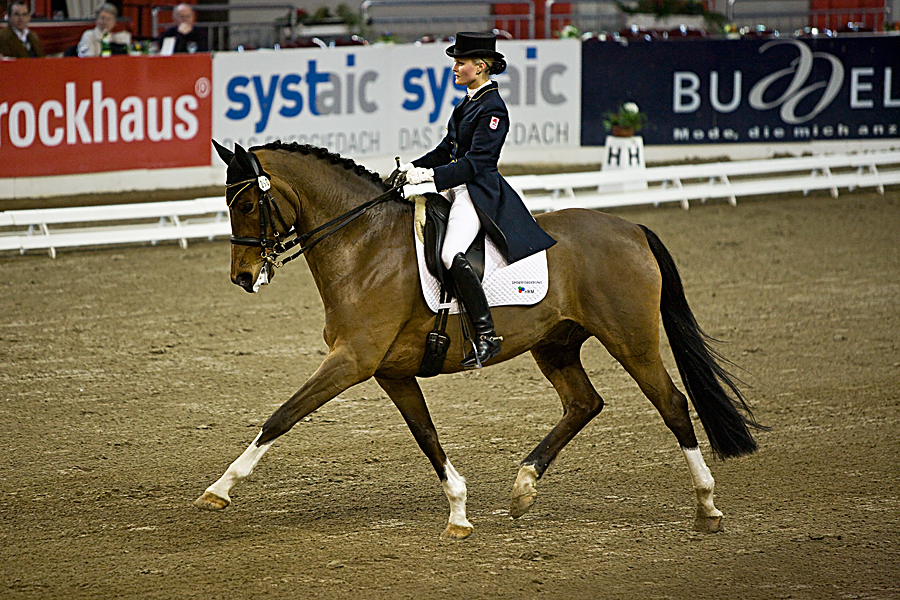 Preis der Jerich GmbH Euroclassics Pferde-Festival Bremen 2010 II