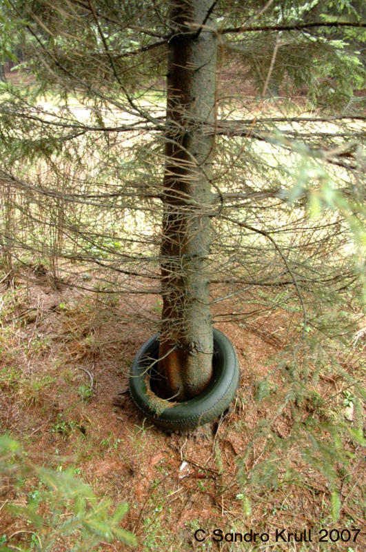 Preisfrage: Wie kommt der Reifen um den Baum?