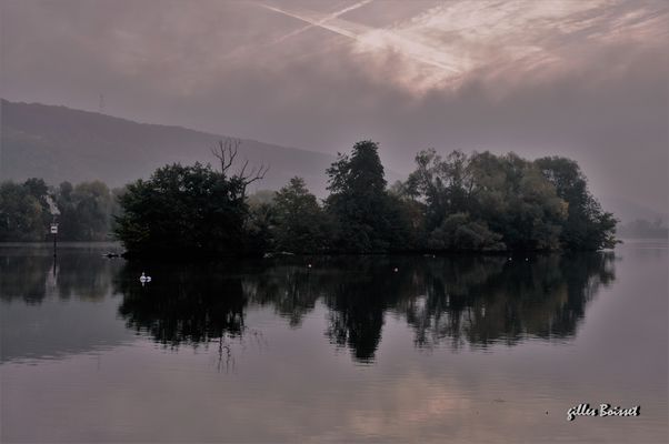 prémice aux matins d'automne