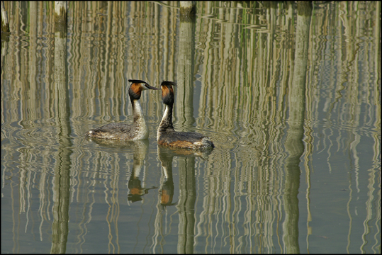 PREMICE SUR L EAU de MIMI73 