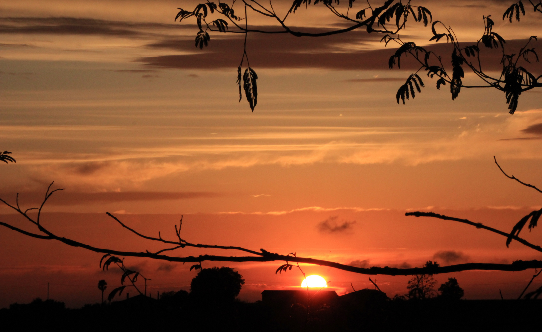 Prémices d un Ciel Orangé.... ( N°2)