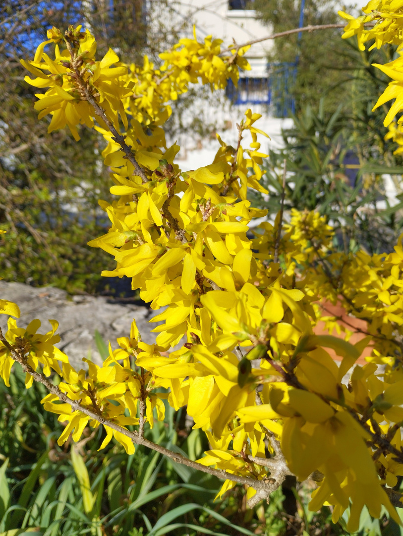 Prémices de printemps ?