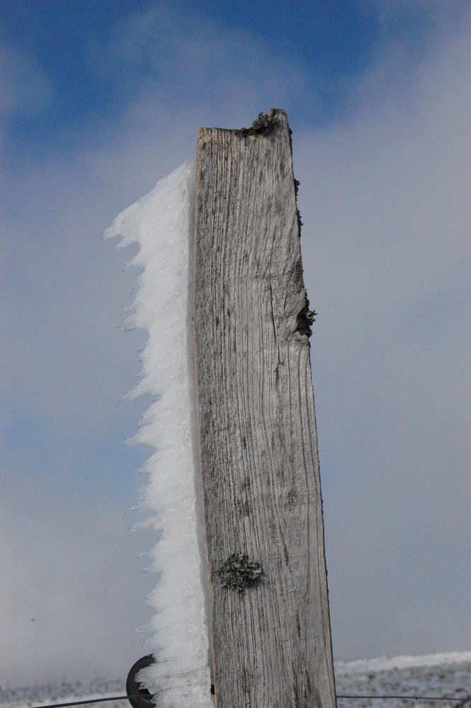 prémices d'hiver