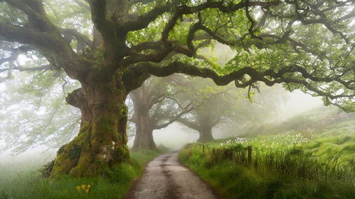 Premices du printemps