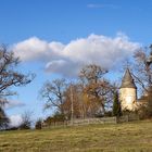 Prémices du printemps dans le Gers