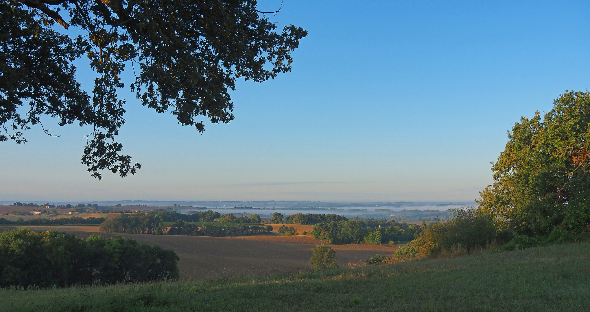 Premier petit matin automnal