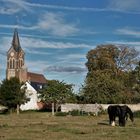 première lumière d'automne sur le Vexin normand