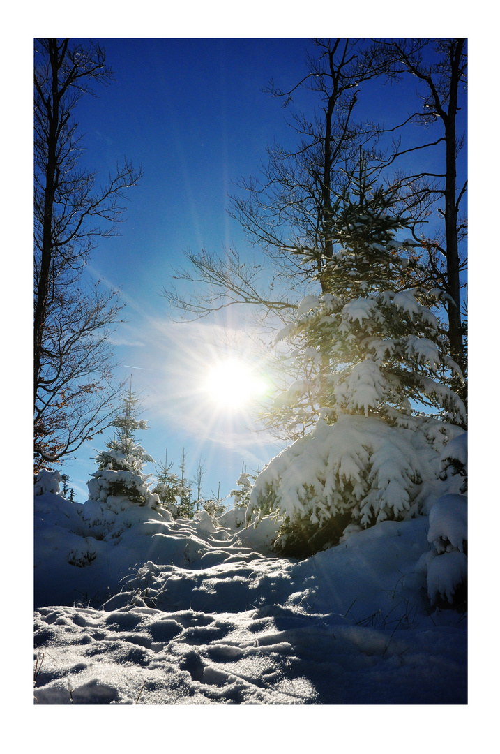 Première neige 2