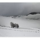 première neige