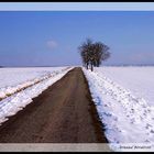 Première neige...