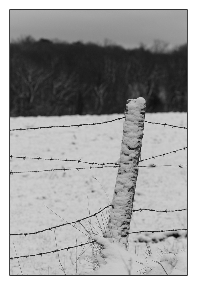 Première neige