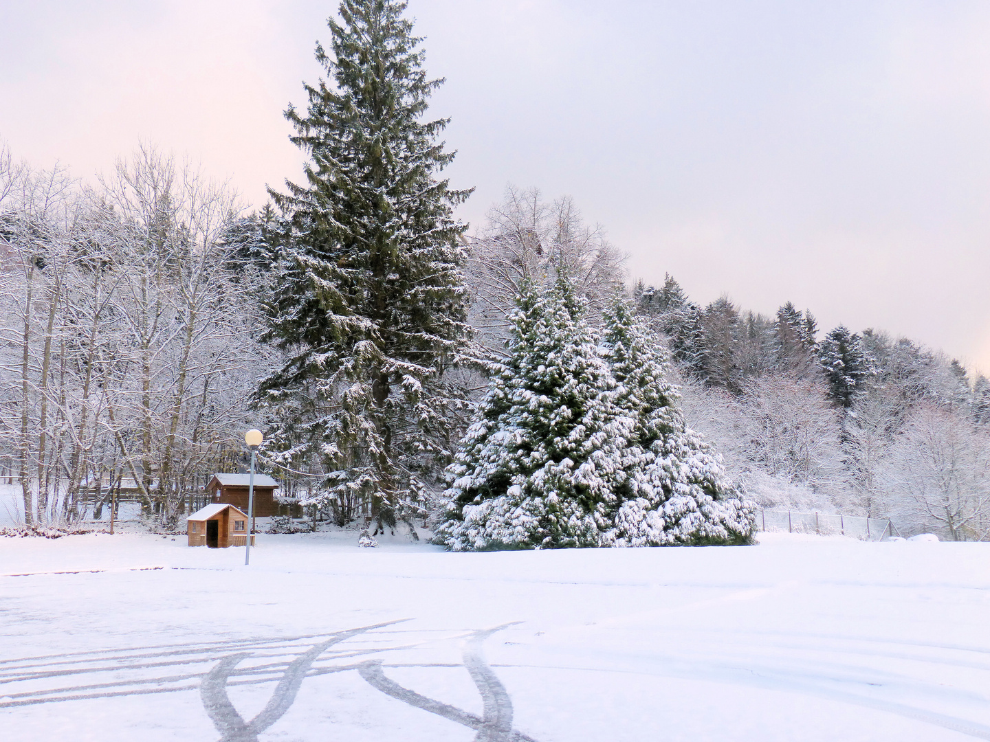 Première neige