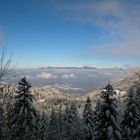 Première neige